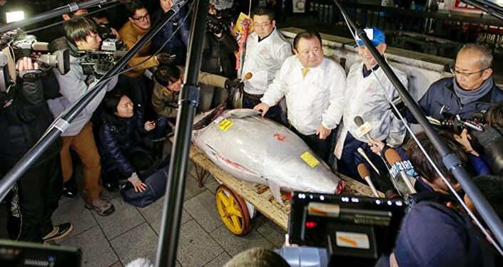 Tarihi Japonya balık hali Tsukiji'da 405 kilogramlık yılın ilk dev orkinosu, 320 bin dolara alıcı buldu
