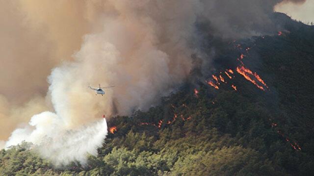 Muğla Büyükşehir Belediyesi yangın bölgelerindeki son durumu paylaştı! Çökertme'de 15 bin hektar kül oldu