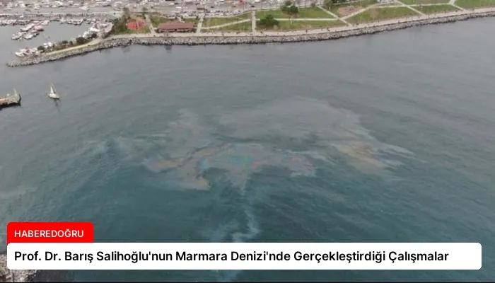 Prof. Dr. Barış Salihoğlu’nun Marmara Denizi’nde Gerçekleştirdiği Çalışmalar