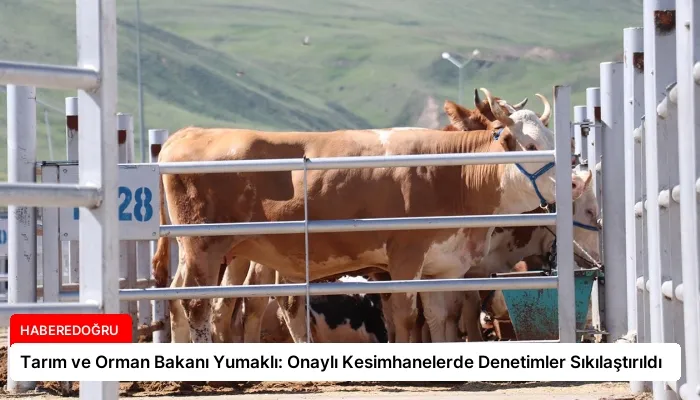 Tarım ve Orman Bakanı Yumaklı: Onaylı Kesimhanelerde Denetimler Sıkılaştırıldı