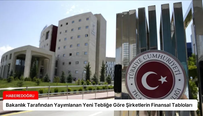 Bakanlık Tarafından Yayımlanan Yeni Tebliğe Göre Şirketlerin Finansal Tabloları