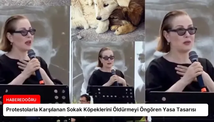Protestolarla Karşılanan Sokak Köpeklerini Öldürmeyi Öngören Yasa Tasarısı