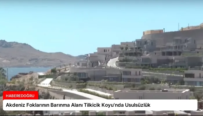 Akdeniz Foklarının Barınma Alanı Tilkicik Koyu’nda Usulsüzlük