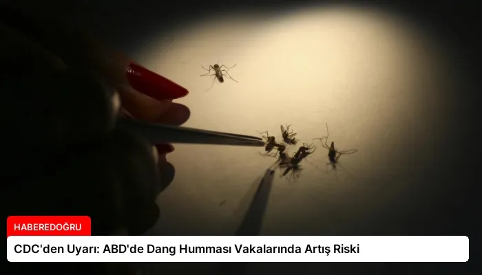 CDC’den Uyarı: ABD’de Dang Humması Vakalarında Artış Riski