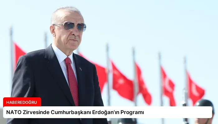 NATO Zirvesinde Cumhurbaşkanı Erdoğan’ın Programı