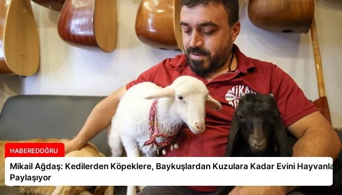 Mikail Ağdaş: Kedilerden Köpeklere, Baykuşlardan Kuzulara Kadar Evini Hayvanlarla Paylaşıyor