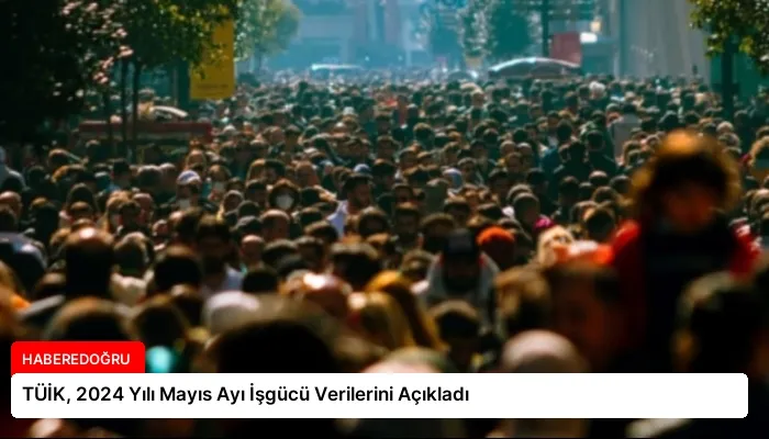 TÜİK, 2024 Yılı Mayıs Ayı İşgücü Verilerini Açıkladı