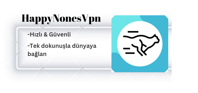 HN VPN: Güvenli İnternet İçin En İyi Seçim