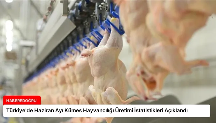 Türkiye’de Haziran Ayı Kümes Hayvancılığı Üretimi İstatistikleri Açıklandı