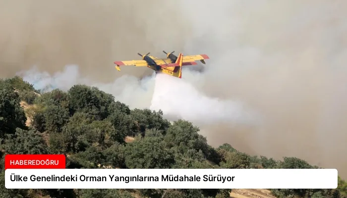 Ülke Genelindeki Orman Yangınlarına Müdahale Sürüyor