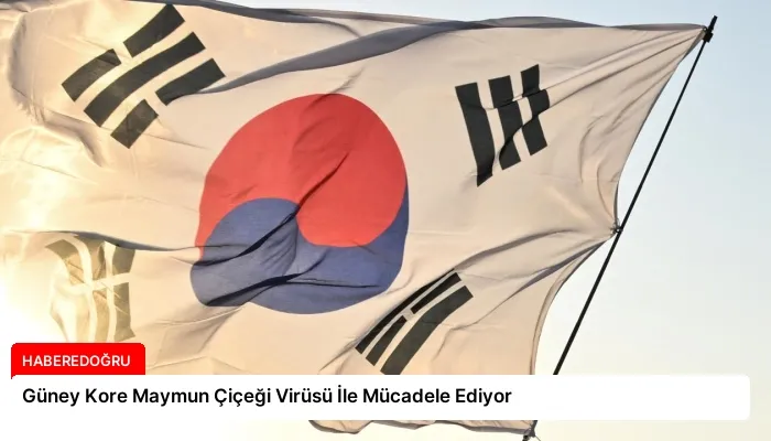 Güney Kore Maymun Çiçeği Virüsü İle Mücadele Ediyor