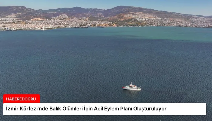 İzmir Körfezi’nde Balık Ölümleri İçin Acil Eylem Planı Oluşturuluyor