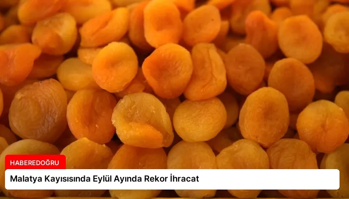 Malatya Kayısısında Eylül Ayında Rekor İhracat