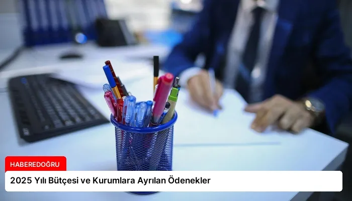2025 Yılı Bütçesi ve Kurumlara Ayrılan Ödenekler