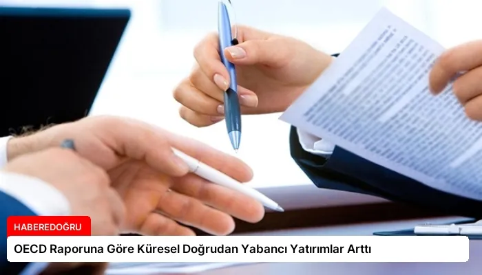 OECD Raporuna Göre Küresel Doğrudan Yabancı Yatırımlar Arttı