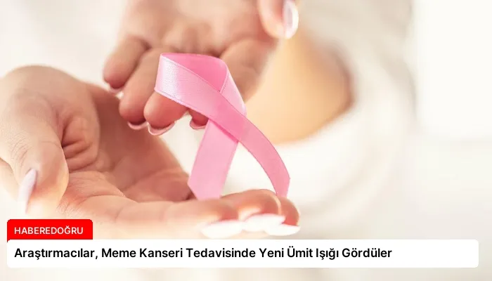 Araştırmacılar, Meme Kanseri Tedavisinde Yeni Ümit Işığı Gördüler