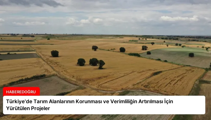 Türkiye’de Tarım Alanlarının Korunması ve Verimliliğin Artırılması İçin Yürütülen Projeler