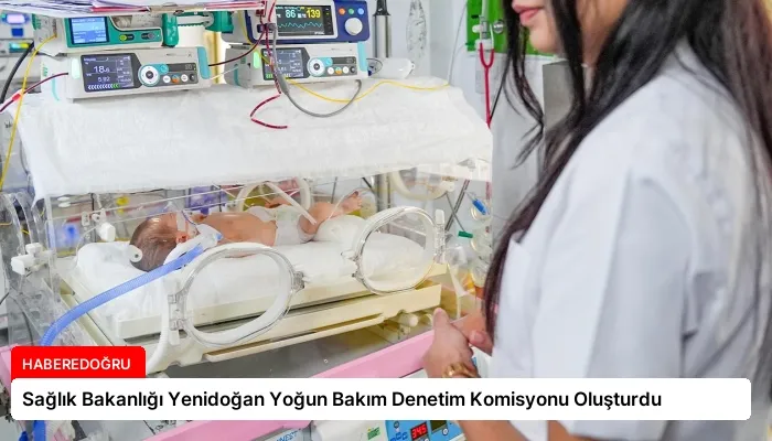 Sağlık Bakanlığı Yenidoğan Yoğun Bakım Denetim Komisyonu Oluşturdu
