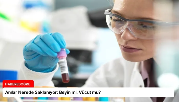 Anılar Nerede Saklanıyor: Beyin mi, Vücut mu?