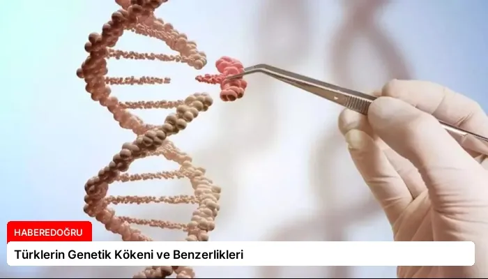 Türklerin Genetik Kökeni ve Benzerlikleri