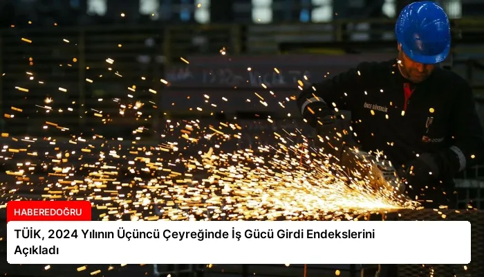 TÜİK, 2024 Yılının Üçüncü Çeyreğinde İş Gücü Girdi Endekslerini Açıkladı