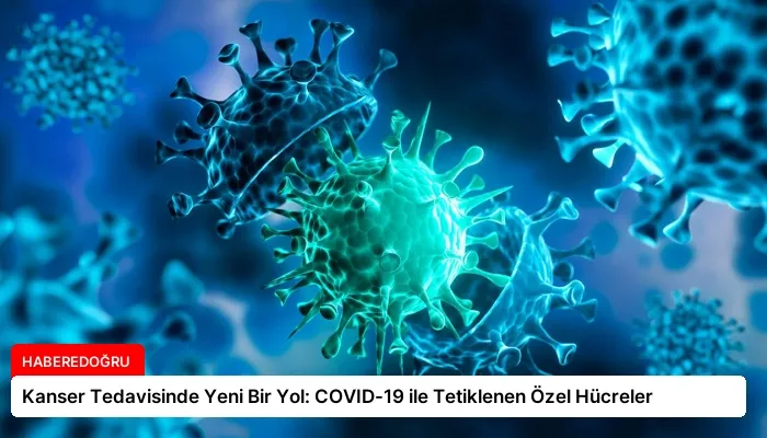 Kanser Tedavisinde Yeni Bir Yol: COVID-19 ile Tetiklenen Özel Hücreler