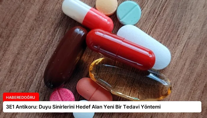 3E1 Antikoru: Duyu Sinirlerini Hedef Alan Yeni Bir Tedavi Yöntemi
