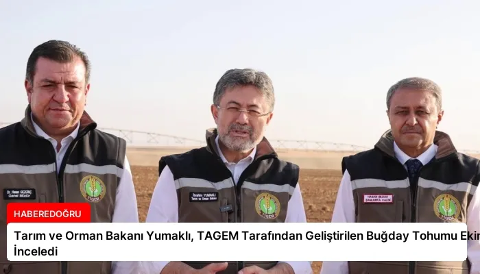 Tarım ve Orman Bakanı Yumaklı, TAGEM Tarafından Geliştirilen Buğday Tohumu Ekimini İnceledi
