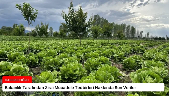 Bakanlık Tarafından Zirai Mücadele Tedbirleri Hakkında Son Veriler