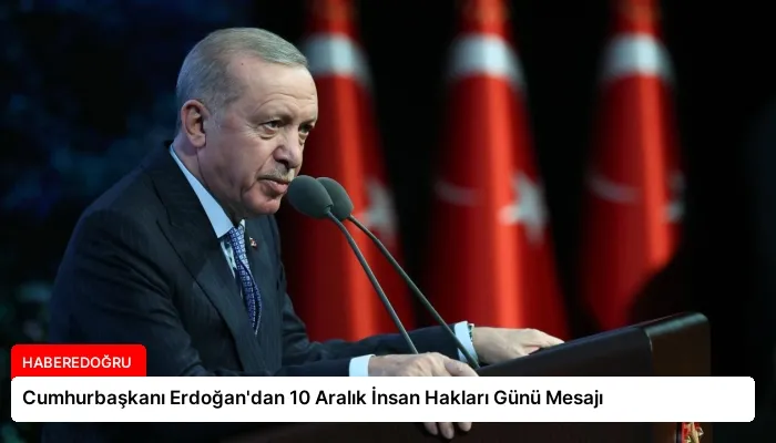 Cumhurbaşkanı Erdoğan’dan 10 Aralık İnsan Hakları Günü Mesajı