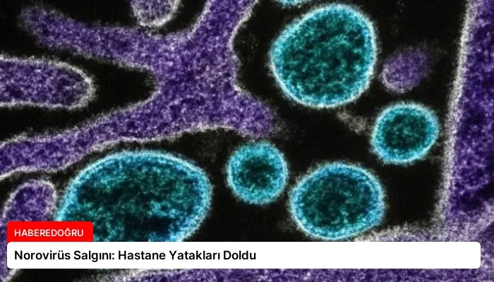 Norovirüs Salgını: Hastane Yatakları Doldu