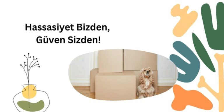 Aydın nakliyat ambarı