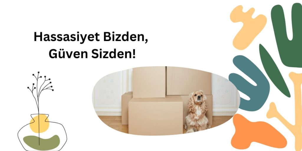 Aydın nakliyat ambarı