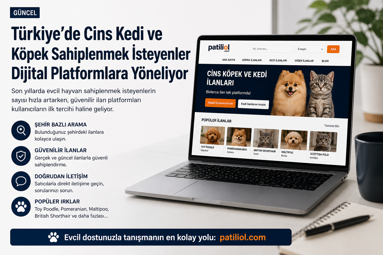 Türkiye’de Cins Kedi ve Köpek Sahiplenmek İsteyenler Dijital Platformlara Yöneliyor