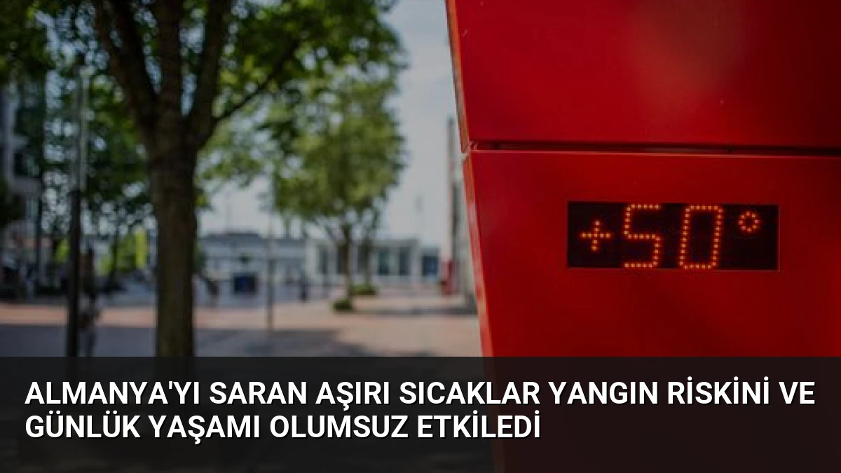 Almanya’yı saran aşırı sıcaklar yangın riskini ve günlük yaşamı olumsuz etkiledi