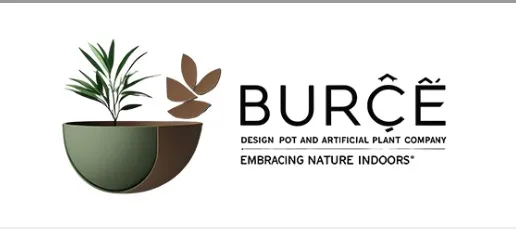 Geniş Alanları Bölmenin En Estetik Yolu Burçe Design Büyük Bölme Saksıları