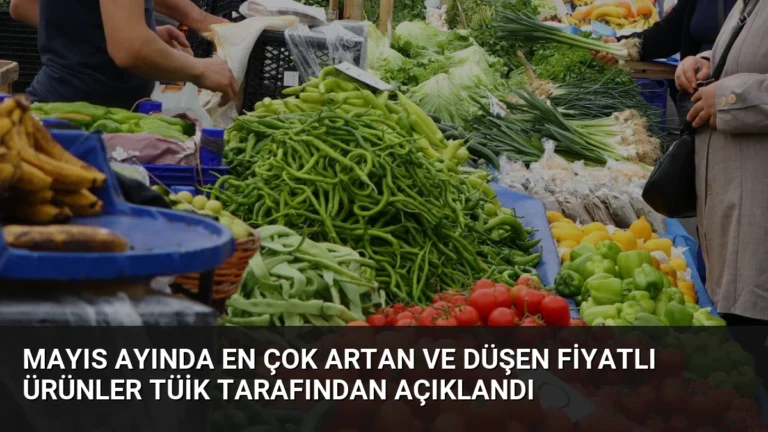 Mayıs Ayında En Çok Artan ve Düşen Fiyatlı Ürünler TÜİK Tarafından Açıklandı