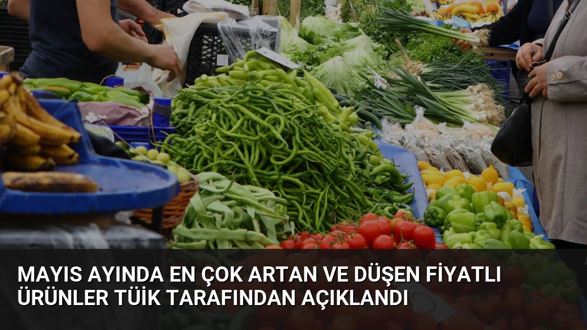 Mayıs Ayında En Çok Artan ve Düşen Fiyatlı Ürünler TÜİK Tarafından Açıklandı