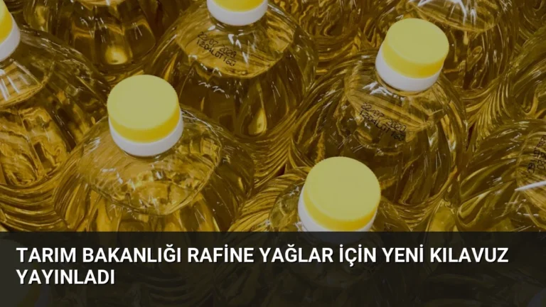 Tarım Bakanlığı Rafine Yağlar İçin Yeni Kılavuz Yayınladı