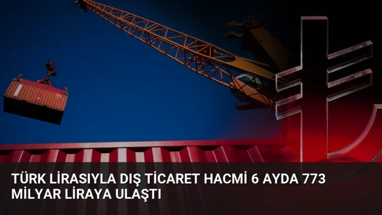 Türk Lirasıyla Dış Ticaret Hacmi 6 Ayda 773 Milyar Liraya Ulaştı