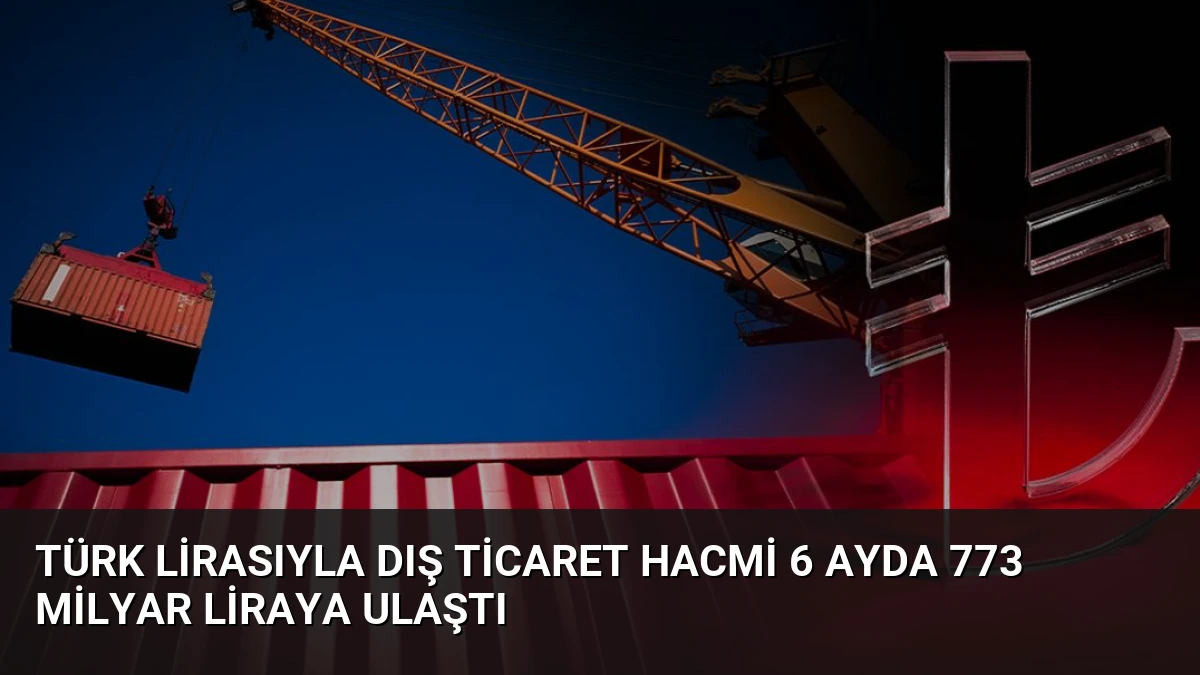 Türk Lirasıyla Dış Ticaret Hacmi 6 Ayda 773 Milyar Liraya Ulaştı