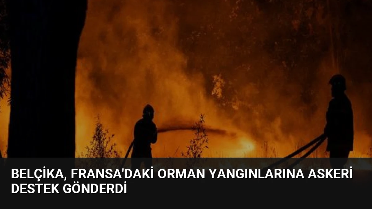 Belçika, Fransa’daki Orman Yangınlarına Askeri Destek Gönderdi