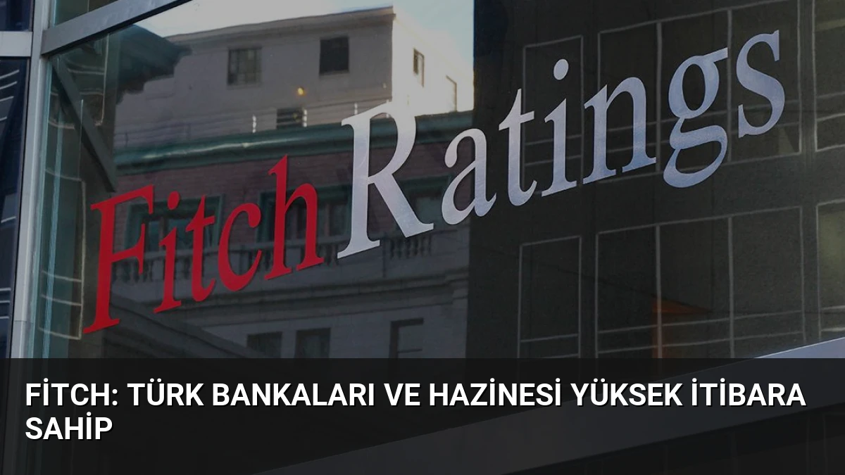 Fitch: Türk bankaları ve hazinesi yüksek itibara sahip