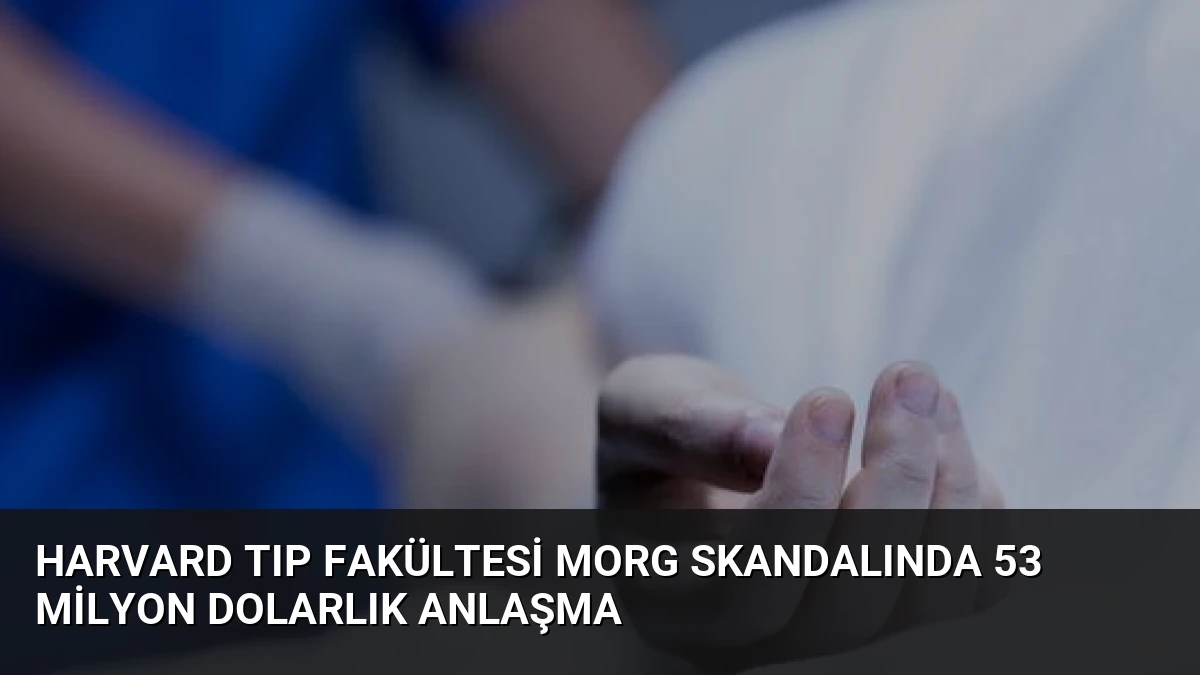 Harvard Tıp Fakültesi Morg Skandalında 53 Milyon Dolarlık Anlaşma