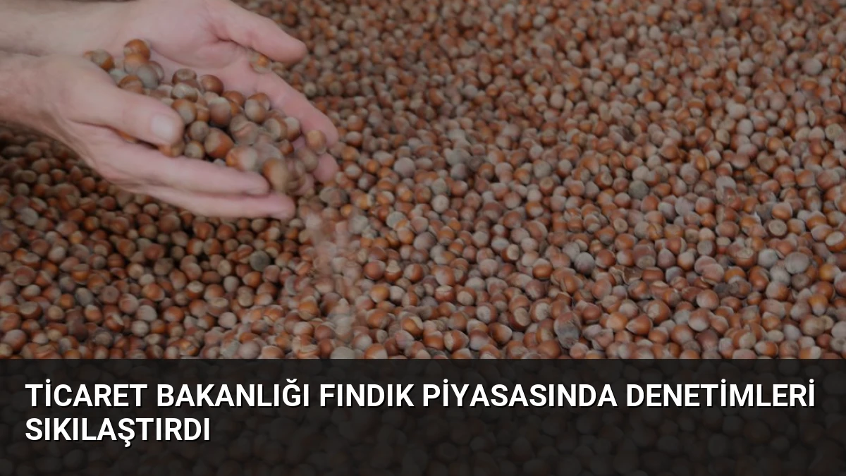 Ticaret Bakanlığı Fındık Piyasasında Denetimleri Sıkılaştırdı