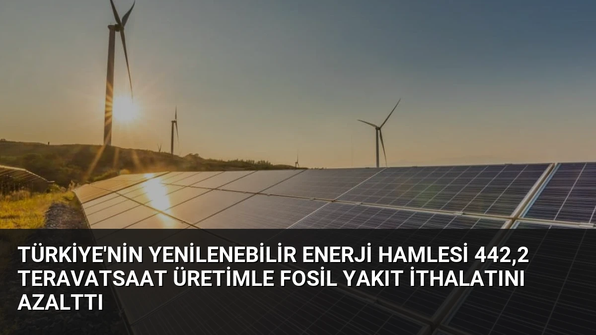 Türkiye’nin Yenilenebilir Enerji Hamlesi 442,2 Teravatsaat Üretimle Fosil Yakıt İthalatını Azalttı